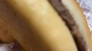 75127511118__E1762ED0-1D31-4E42-86F3-697E1CB8ABFB