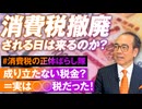 党員限定_安藤さん「消費税」v2