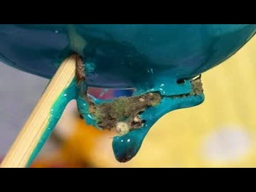 ホモと見るデスりんご飴