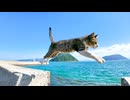 防波堤にいたキジ白猫を撫でると後から三毛猫もやって来た