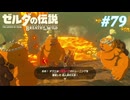 【ゼルダの伝説BotW】実況プレイ-part79-