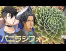 【多肉植物】低音コンビのセンペルビウムチャンネル＃6【ソフトウェアトーク劇場】