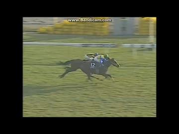 1997 天皇賞（秋） (GⅠ) エアグルーヴvsバブルガムフェロー