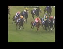 2005 天皇賞（秋） (GⅠ)　ヘヴンリーロマンス