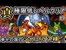 【DS版DQ6】真・極限低レベルクリア#9～ドランゴVSテリーのちジャミラス様～【ゆっくり実況】