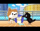 SHIBUYA♡HACHI 第2クール　第16話　カカカカ