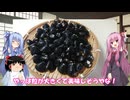 琴葉姉妹と行く釣行記録（車載編part32 8/8）