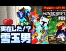 【怒りの宝探しマイクラ】悲報！友人シュルカーBOX消失【#RAGECRAFT4】 day89【実況】≪#PRAZOKS≫