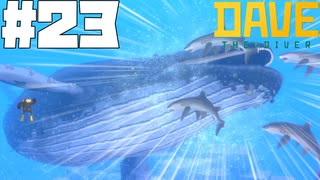 【DAVE THE DIVER】父と迷子と親子愛【ゆっくり実況】23貫目