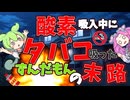 【茶番＋解説】酸素吸入中にタバコを吸ったずんだもんと考える在宅酸素療法