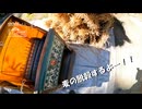 【第296回】麦の脱穀と久しぶりだとと緑竹筍