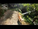 【第297回】麦の脱穀よりもお散歩！とレモンが…と炭酸割り