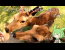 ずんだもんが行く35万円で日本一周！ Part4【和歌山、奈良】