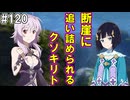 【SAOHR】がんばれキリト！ゴミカス道中～僕がイキり陰キャになった理由～#120【ソードアートオンラインホロウリアリゼーション】