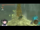 【ゼルダの伝説】周回遅れのティアキン Part167【TotK】