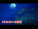 【8月32日の水族館】無限に続く水族館から脱出を目指す3D間違い探しゲームが面白すぎる件【5日目】