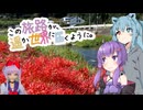 この旅路が、遥か世界に届くように。P.41