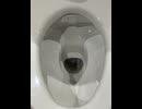 75143894479__C2397E19-3389-47D1-A82A-47AA7A2EE967