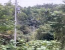 75144398287__720D47DF-1585-41E5-93A0-099858005551