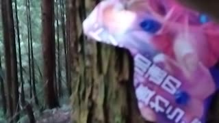 強盗王モンキーⅮルフィが顔をぶん殴られて地獄に落ちる動画、力が抜けるほど嬉しい