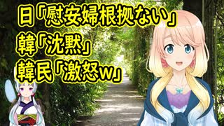 【韓国の反応】国連で慰安婦問題に、根拠が無いと発言した日本に対し、韓国代表が沈黙→韓国民が激怒【世界の〇〇にゅーす】