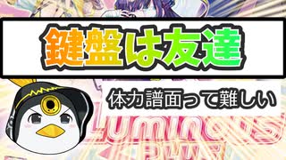 虹レ(16.00)になれたのでベスト枠を自慢したい！！！！！【CHUNITHM LUMINOUS PLUS】