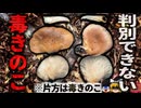 【2009年､2024年】『絶対見分けがつかない毒キノコ』秋の味覚で命の危機 食べると数時間嘔吐し続ける恐ろしい症状  【ゆっくり解説】