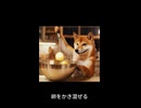 わんこシェフが大活躍！ワンプレート料理に挑戦□□