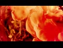 ijimi - Rehability / 重音テト Cover