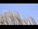 秋の日は釣瓶落とし / 知声