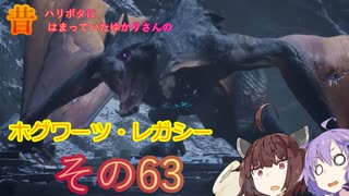 昔ハリポタにはまっていたゆかりさんのホグワーツレガシー実況!!!その63
