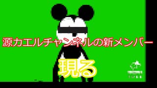 新たなメンバー加わる!！