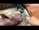巨コブダイ調理 ①