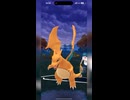 #ポケモンgo #gbl シャドウカイリュー  ニョロボン リザードン ブラッキー ヨルノズク トドゼルガ #shorts #スーパーリーグリミックス #スーパーリーグ  #pokemon