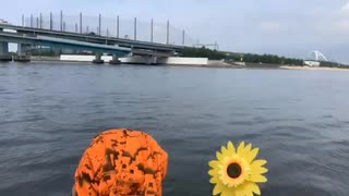 【さわだアルス】竿が水没する【カヤックフィッシング】