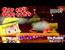 ゼルダゆかりの借り物生活　part7【ゼルダの伝説知恵のかりもの】