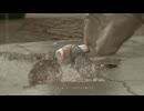 HEAVY RAINバグ