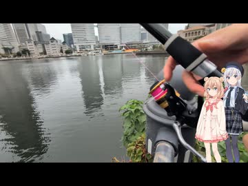 【しゅおりり釣行記】長野県では餌やりを餌くれと言います