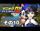 【ソニックアドベンチャーDX】懐かしさに焼かれるゆるりんごのスピード世界マイWAY！その10【ソニック】