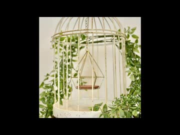 谷山浩子 鳥籠姫(カラオケ字幕)off vocal