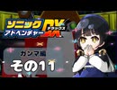 【ソニックアドベンチャーDX】懐かしさに焼かれるゆるりんごのスピード世界マイWAY！その11【ガンマ：E-102γ】