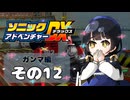 【ソニックアドベンチャーDX】懐かしさに焼かれるゆるりんごのスピード世界マイWAY！その12【ガンマ：E-102γ】