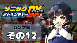 【ソニックアドベンチャーDX】懐かしさに焼かれるゆるりんごのスピード世界マイWAY！その12【ガンマ：E-102γ】