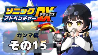 【ソニックアドベンチャーDX】懐かしさに焼かれるゆるりんごのスピード世界マイWAY！その15【ガンマ：E-102γ】
