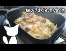 猫のきまぐれ野営記　 第一回 JKに真似出来ない汚い大人キャンプ