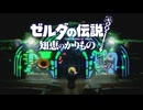 【ゼルダの伝説 知恵のかりもの】ケンカをするということは互いに認めている部分がある、伝えたい想いがあるということ。…なんだかよくわからないけどきもちよさそう #09