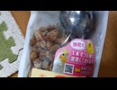 ハムスター飼いました。〜その168〜おはぎちゃんと2歳と1ヶ月と18日
