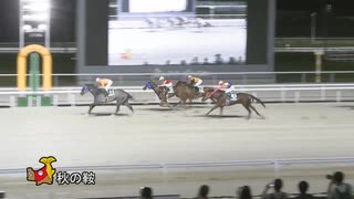 第35回秋の鞍 フークピグマリオン