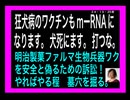24・10・25夜　海外では　狂犬病ワクは3年置き　日本は金儲の為毎年打ちます。