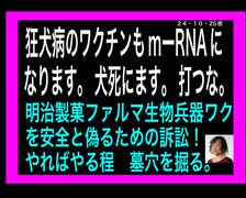 24・10・25夜　海外では　狂犬病ワクは3年置き　日本は金儲の為毎年打ちます。